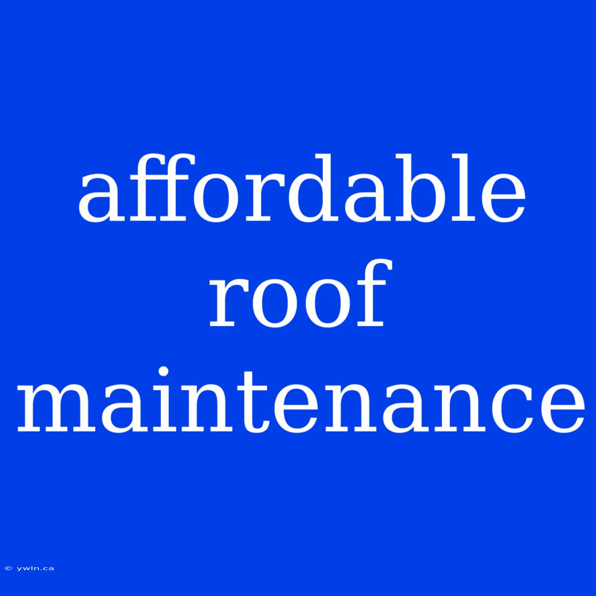 Affordable Roof Maintenance