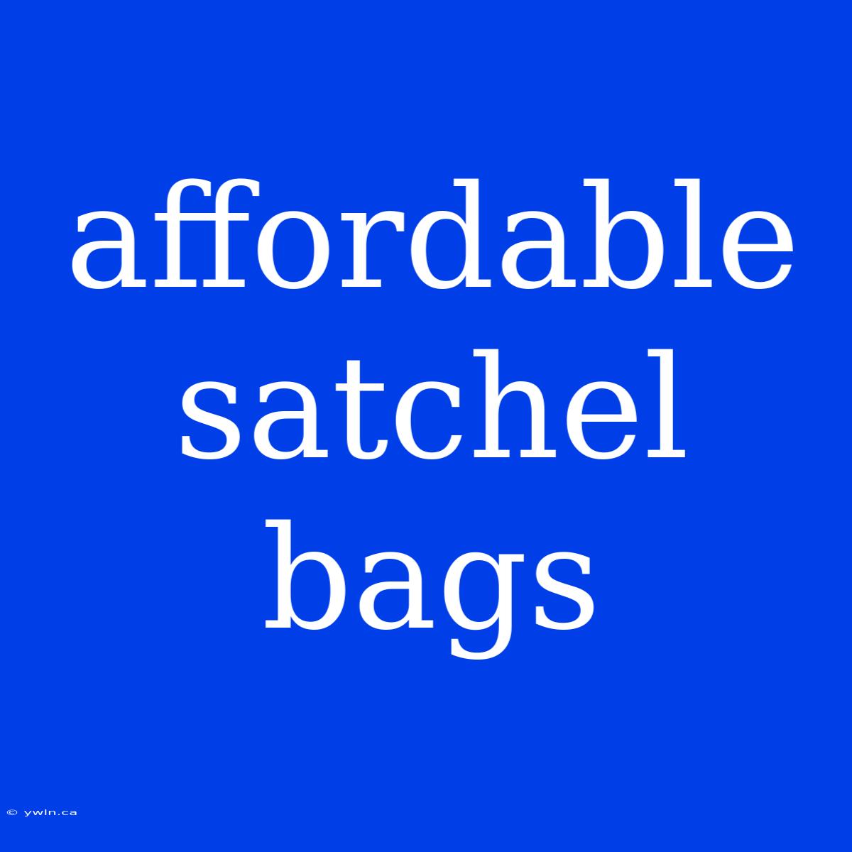 Affordable Satchel Bags