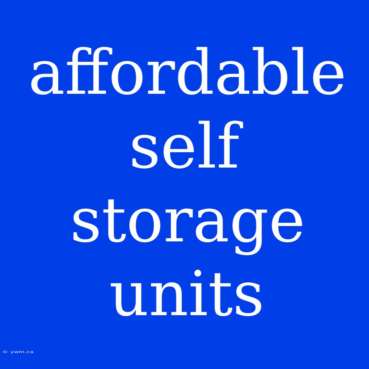 Affordable Self Storage Units