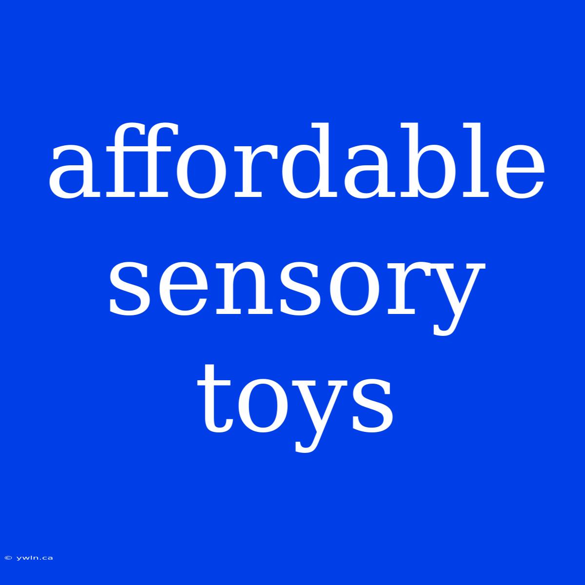 Affordable Sensory Toys