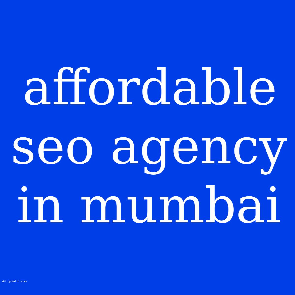 Affordable Seo Agency In Mumbai