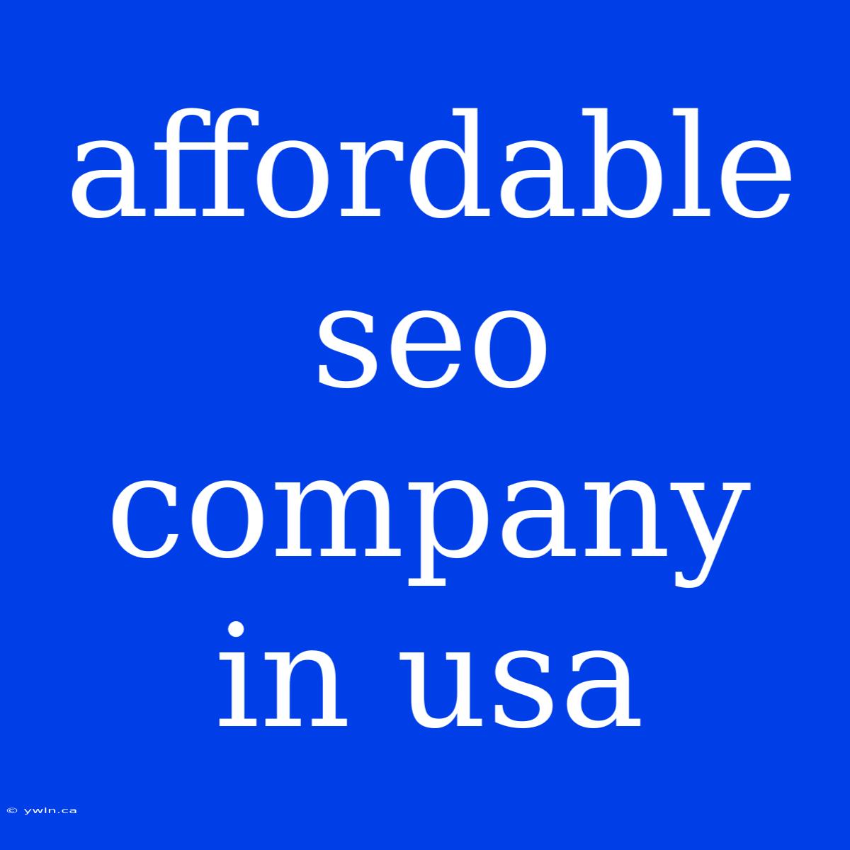 Affordable Seo Company In Usa