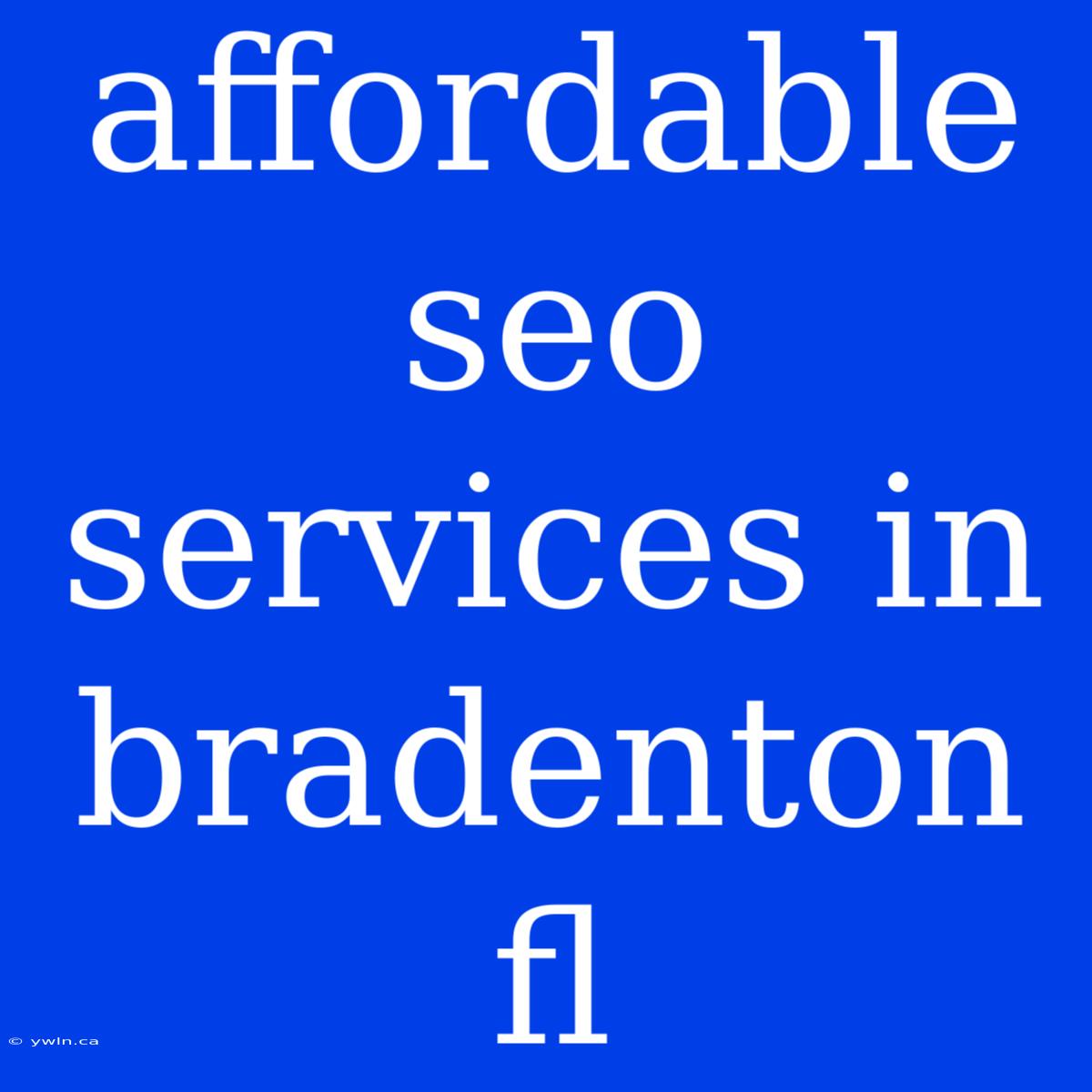 Affordable Seo Services In Bradenton Fl