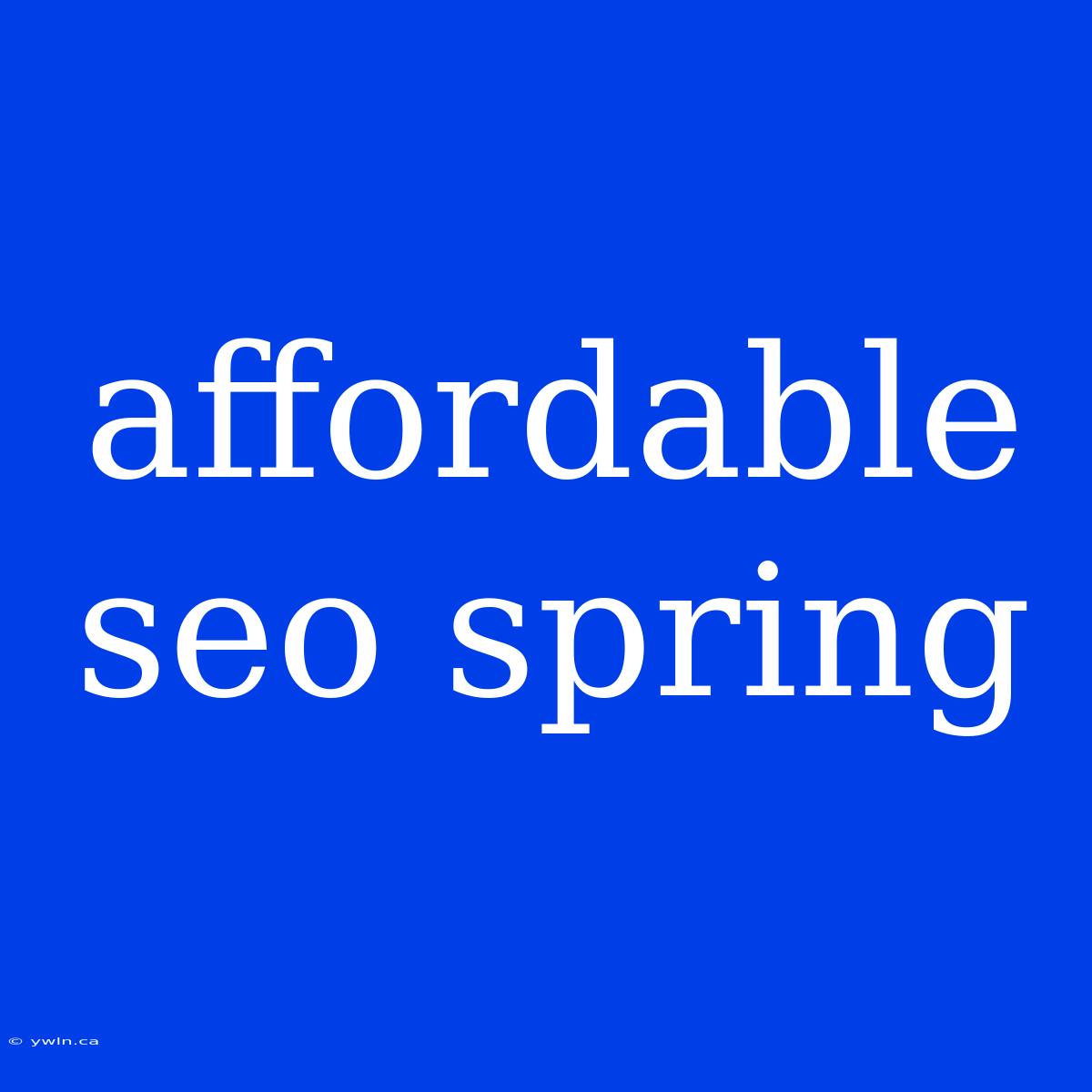 Affordable Seo Spring