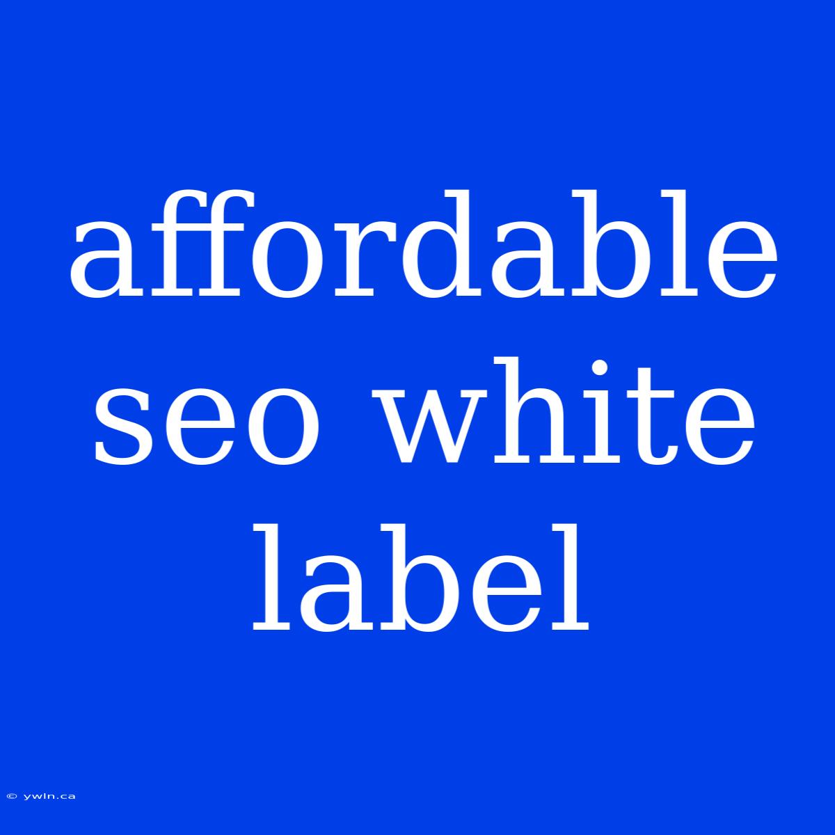 Affordable Seo White Label