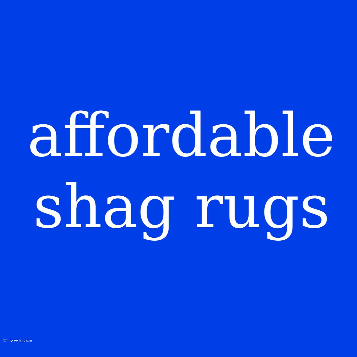 Affordable Shag Rugs