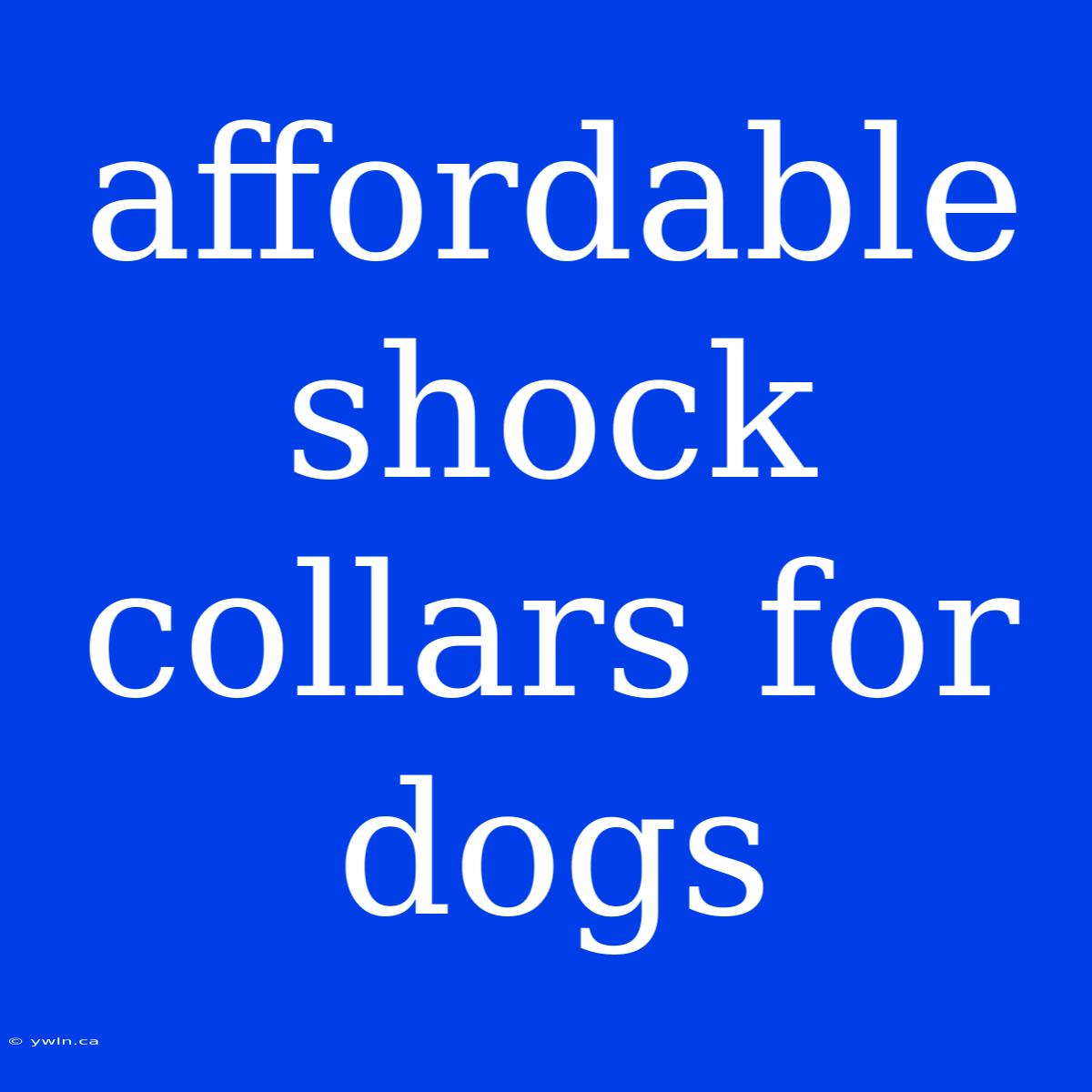 Affordable Shock Collars For Dogs