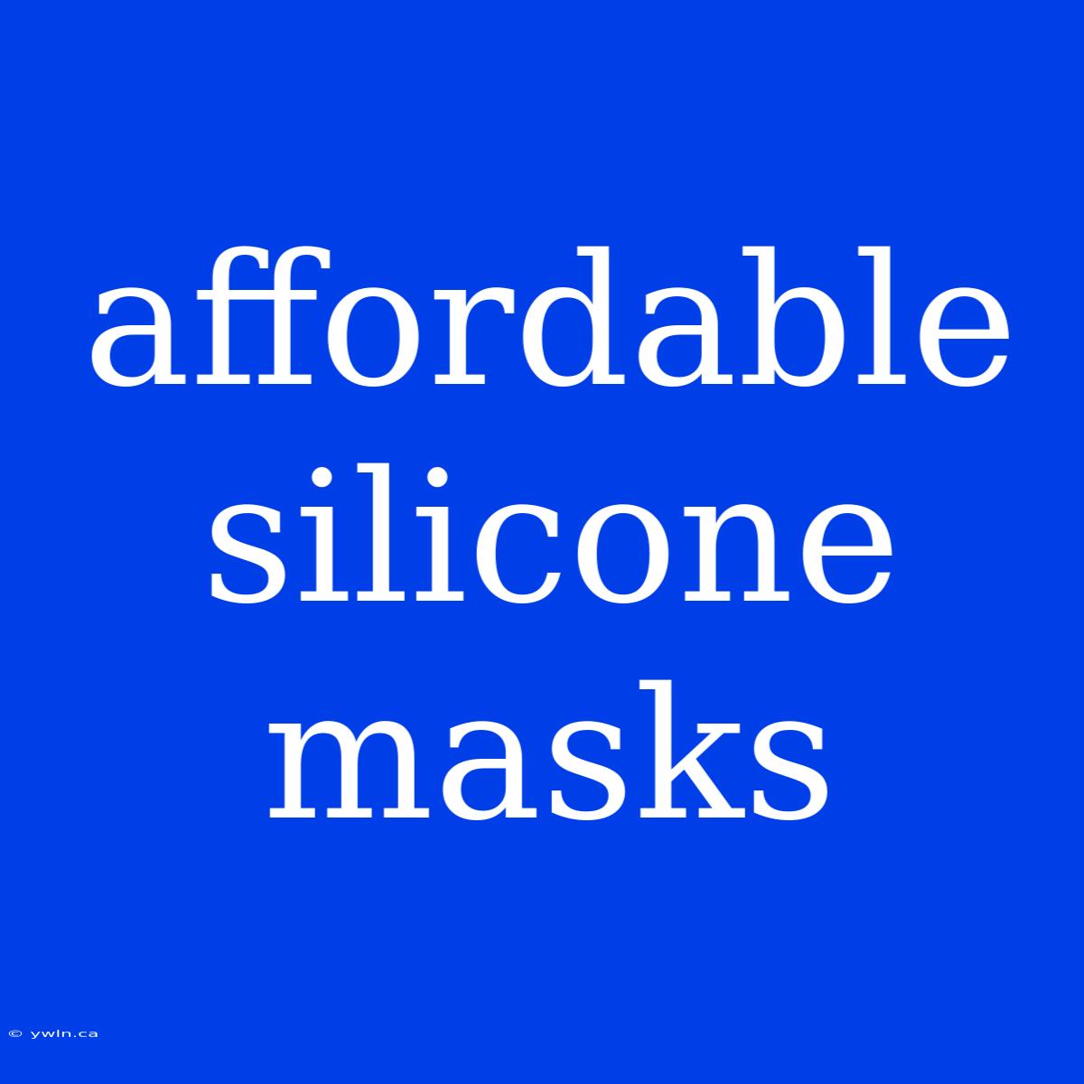 Affordable Silicone Masks