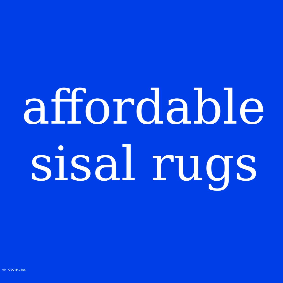 Affordable Sisal Rugs