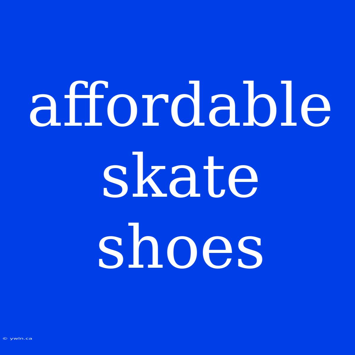 Affordable Skate Shoes