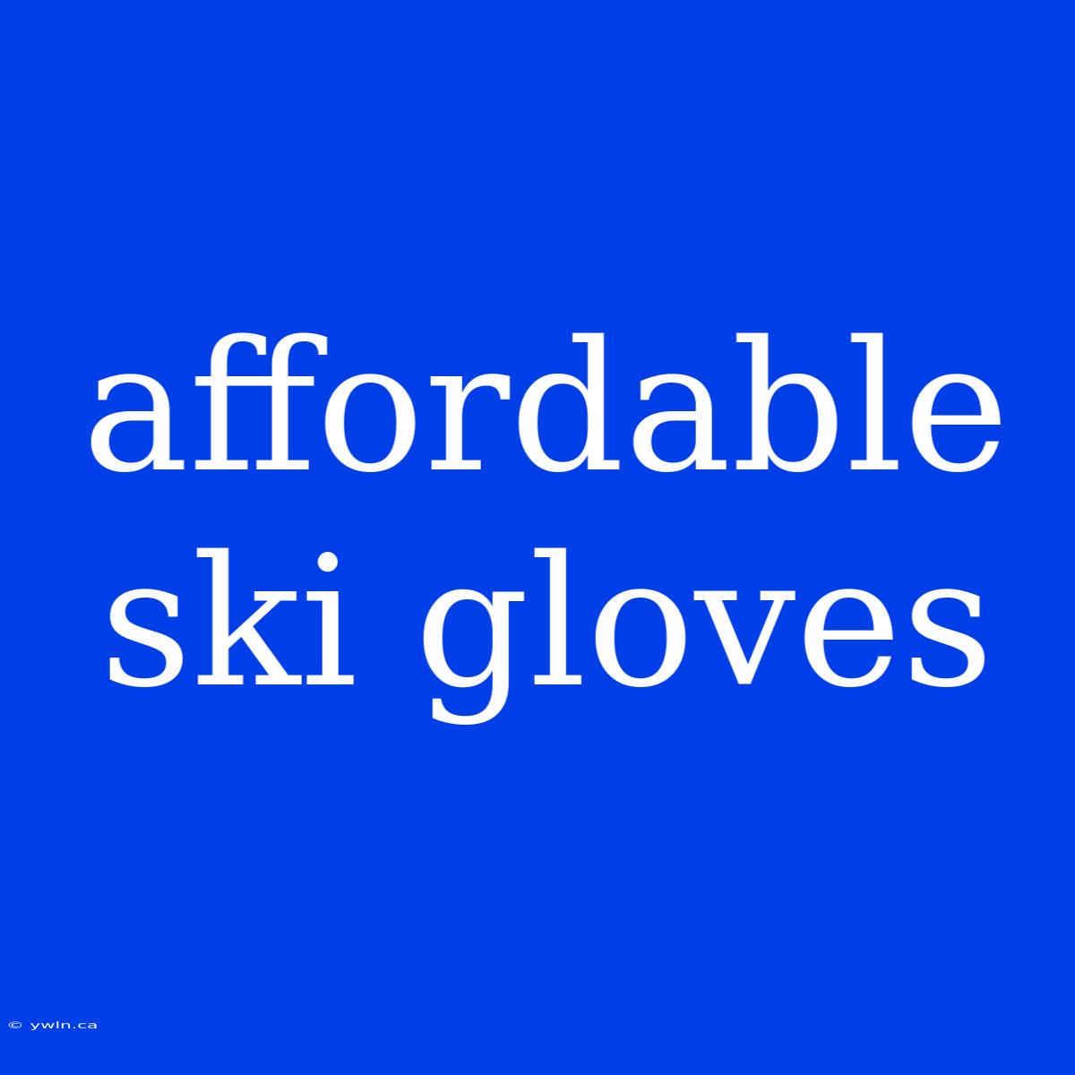 Affordable Ski Gloves