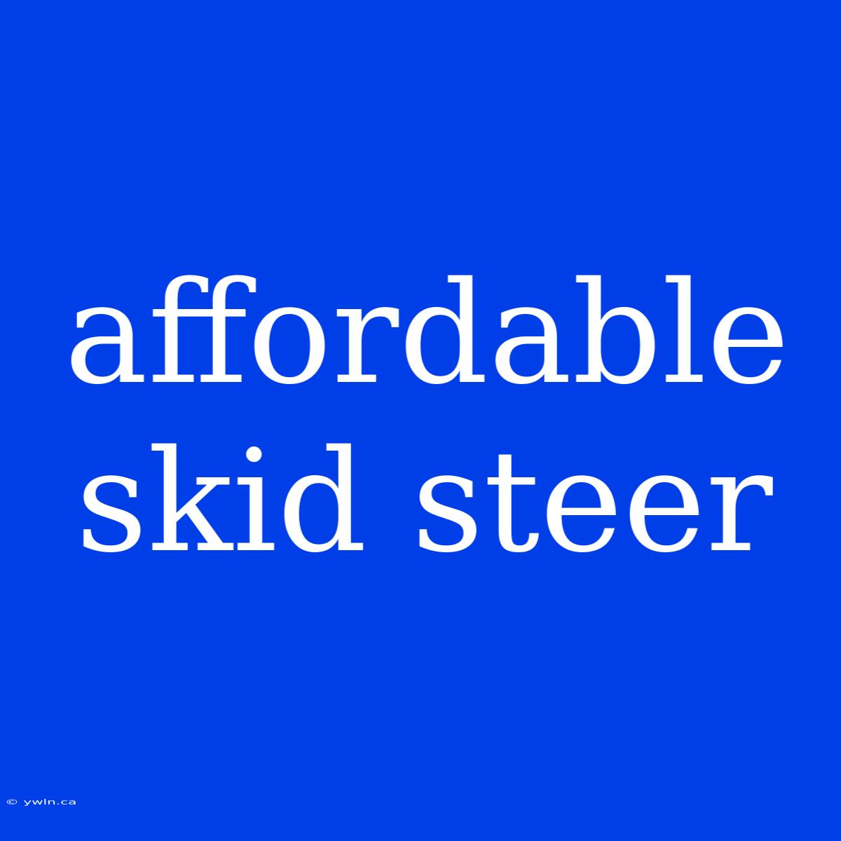 Affordable Skid Steer