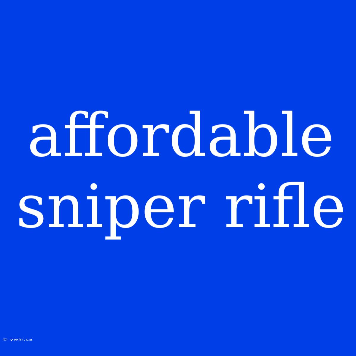 Affordable Sniper Rifle