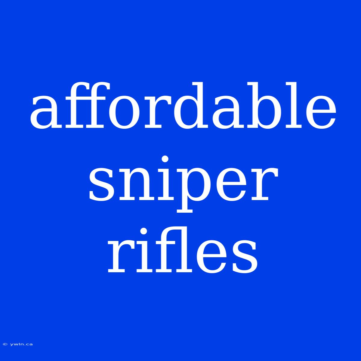 Affordable Sniper Rifles