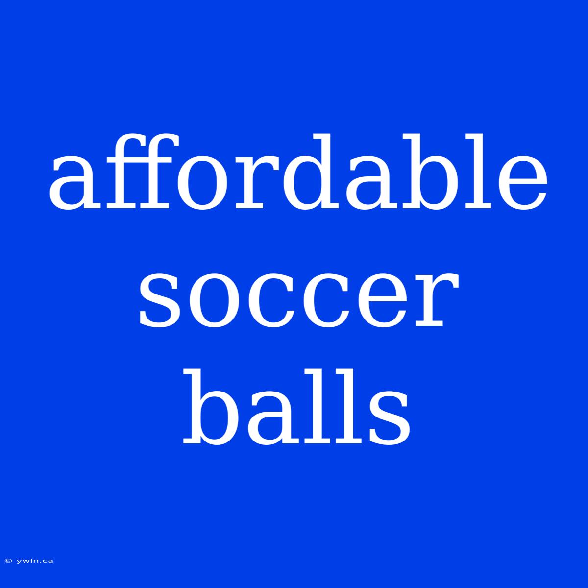 Affordable Soccer Balls