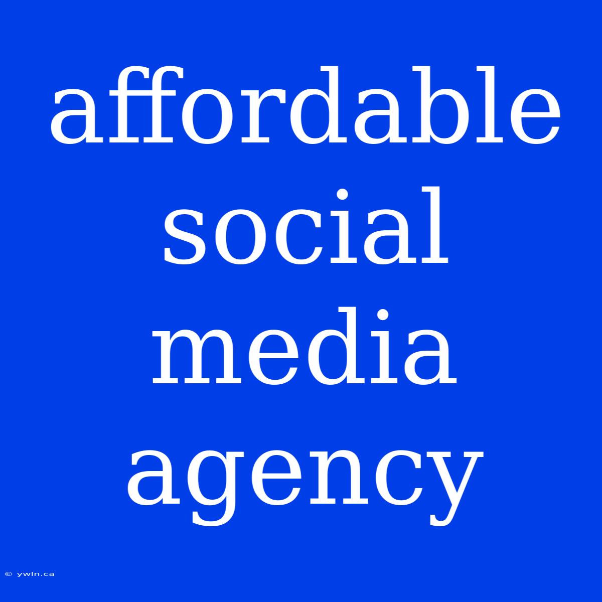 Affordable Social Media Agency