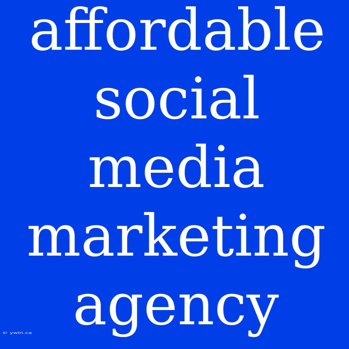 Affordable Social Media Marketing Agency