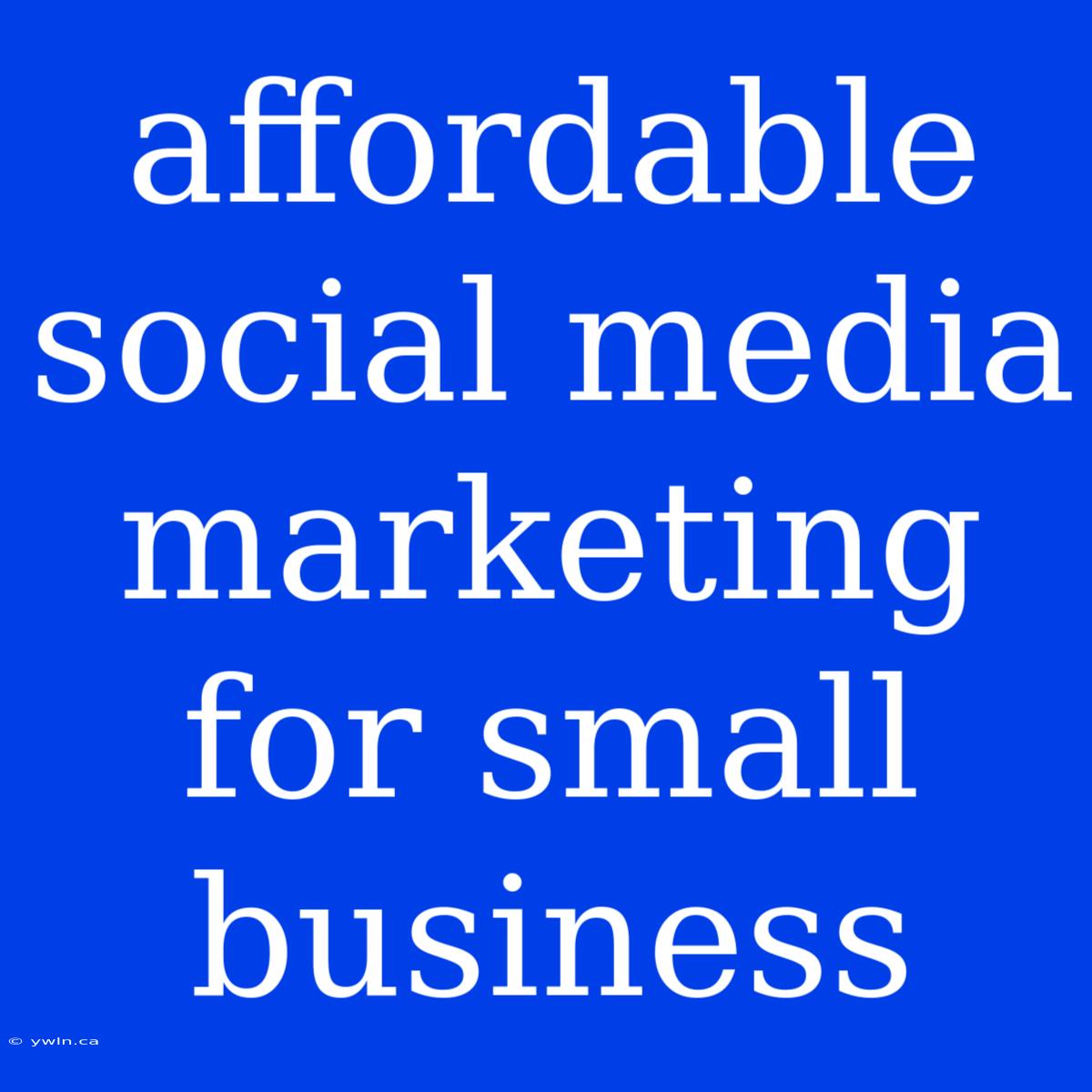 Affordable Social Media Marketing For Small Business