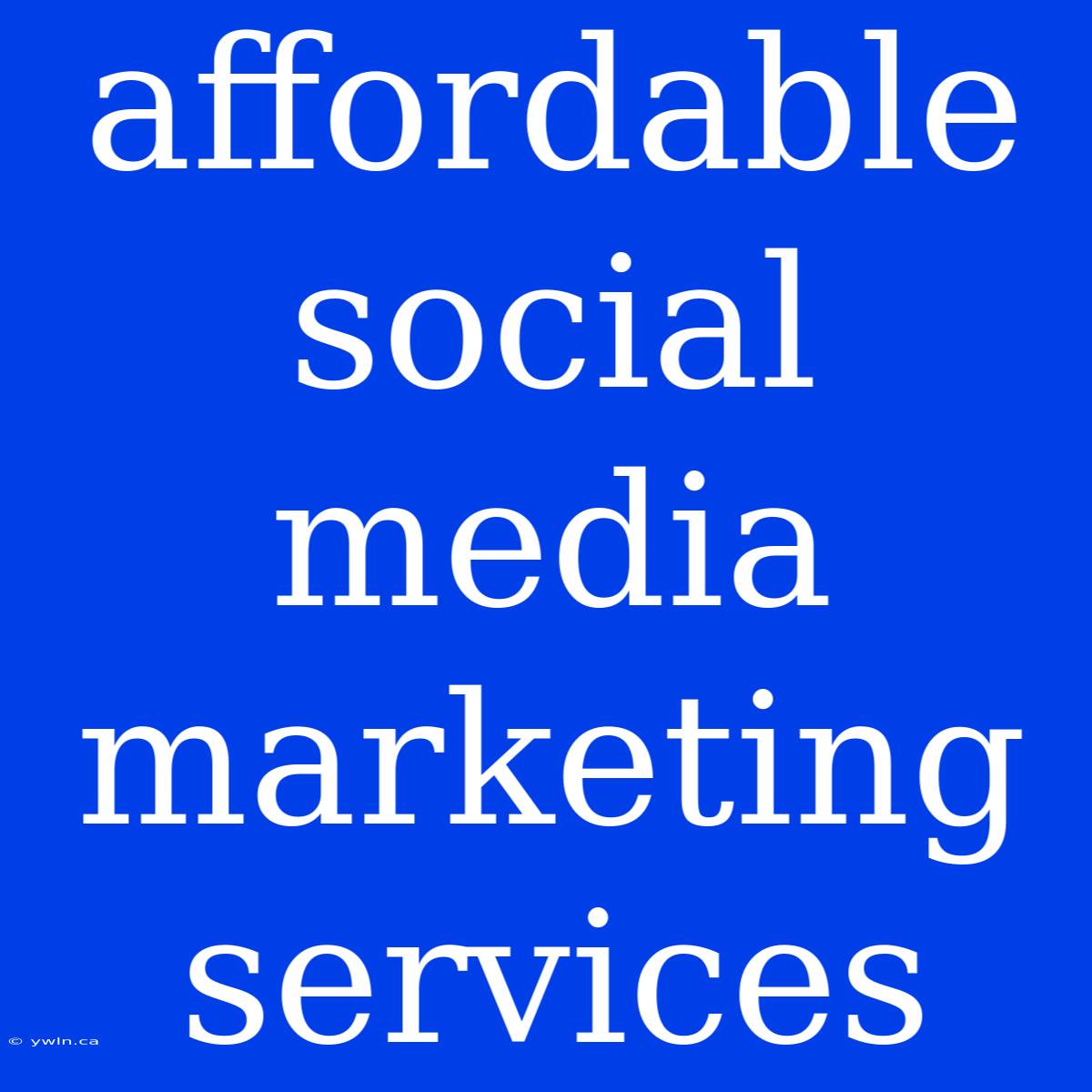 Affordable Social Media Marketing Services