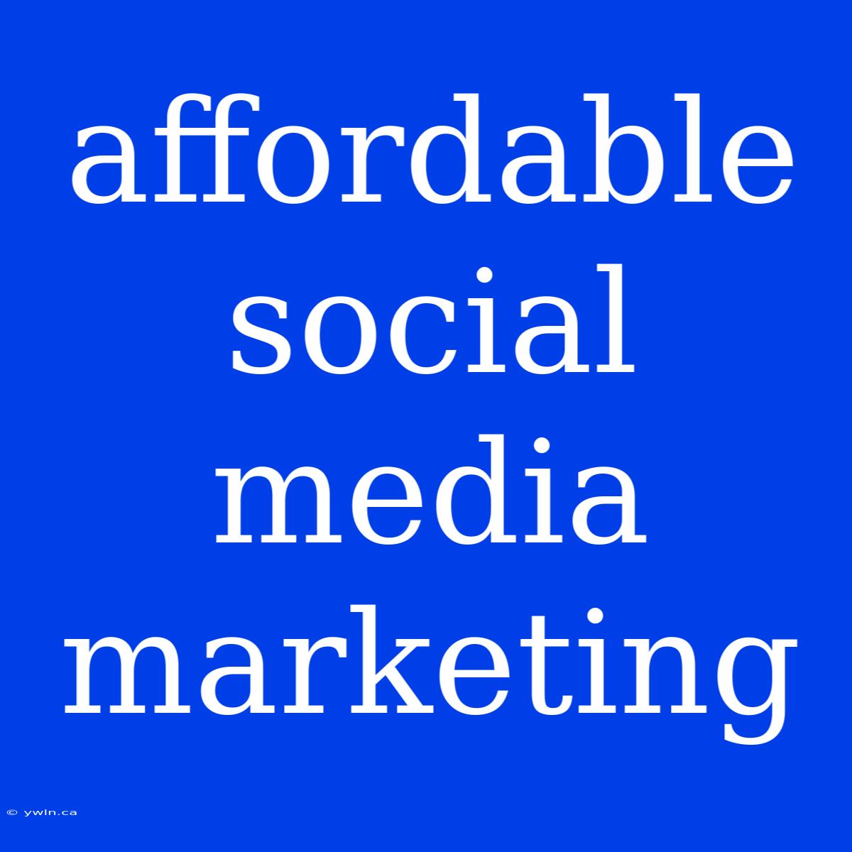 Affordable Social Media Marketing