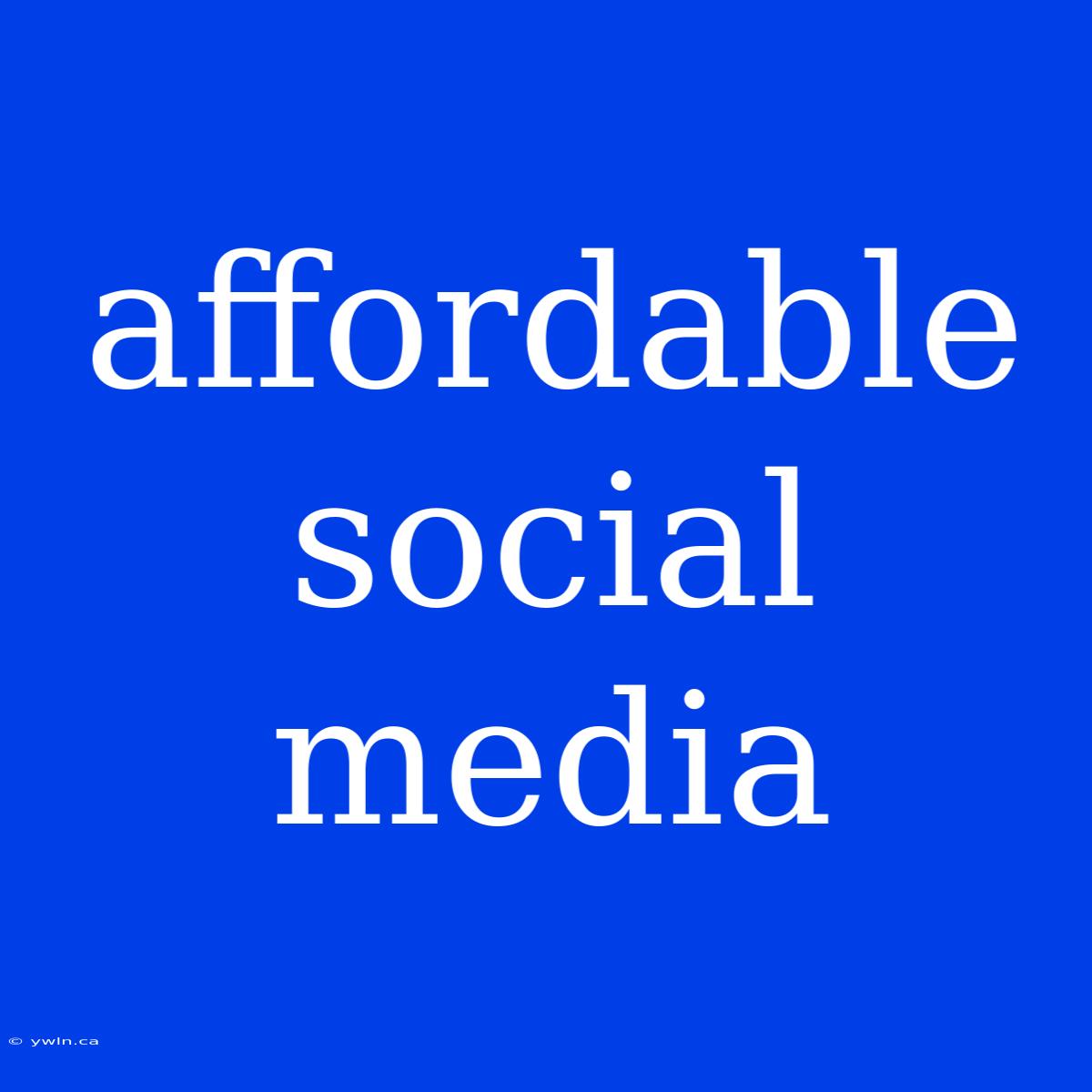 Affordable Social Media