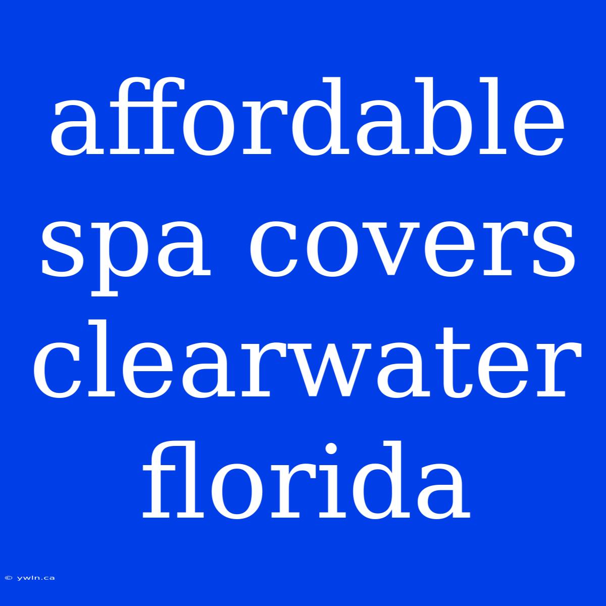 Affordable Spa Covers Clearwater Florida