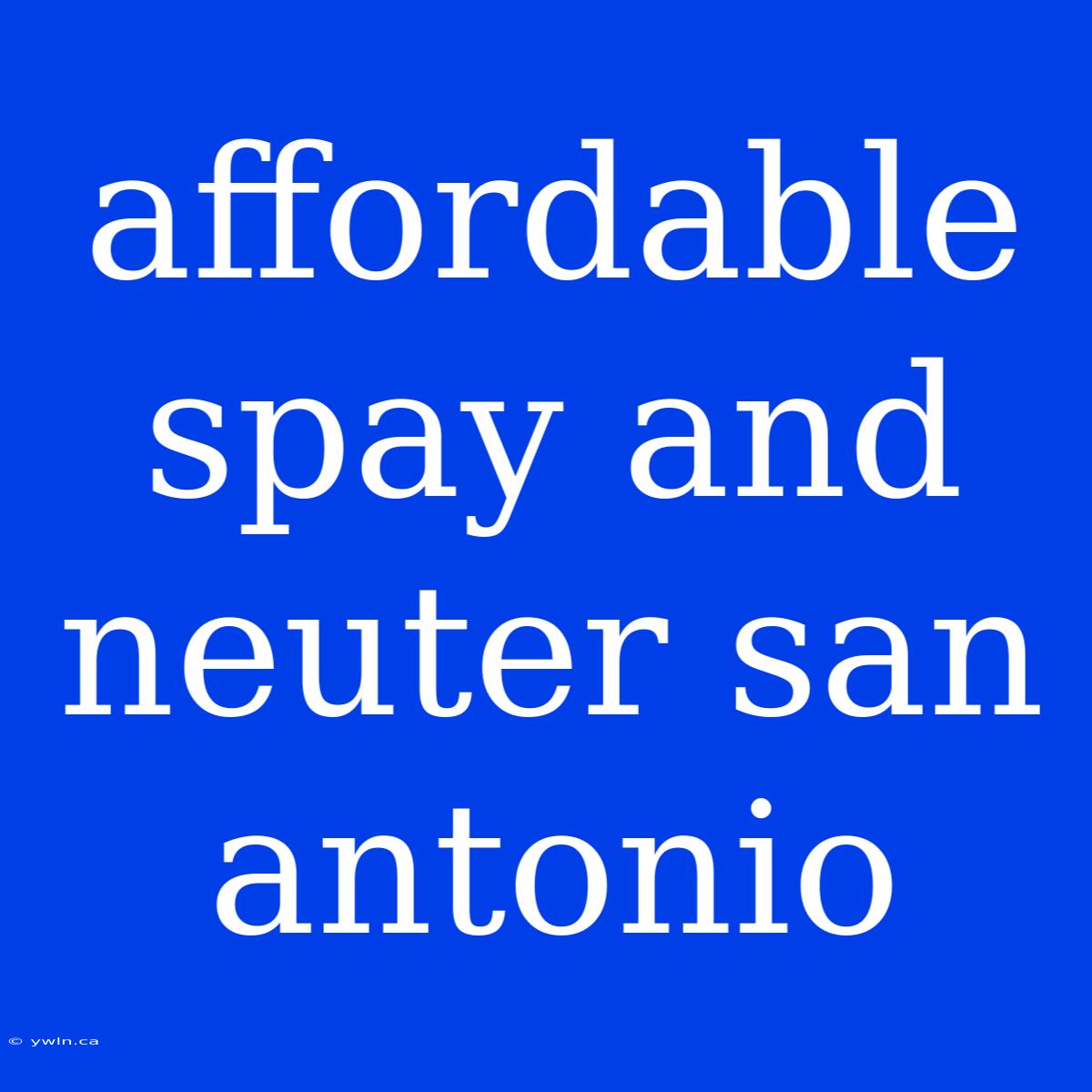 Affordable Spay And Neuter San Antonio