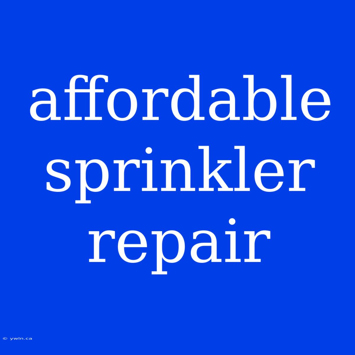 Affordable Sprinkler Repair