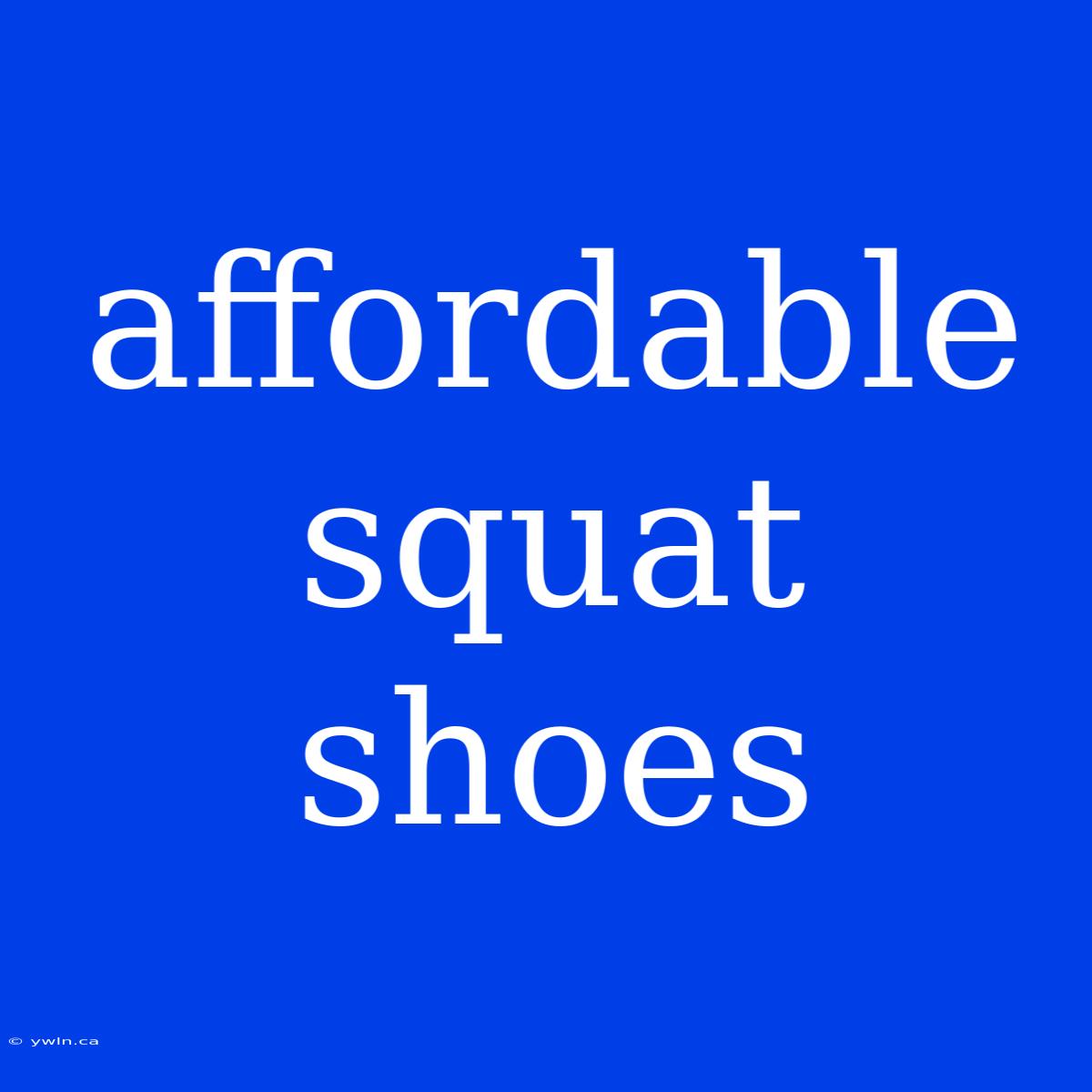 Affordable Squat Shoes