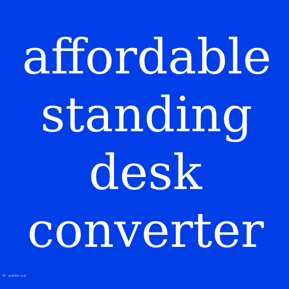 Affordable Standing Desk Converter