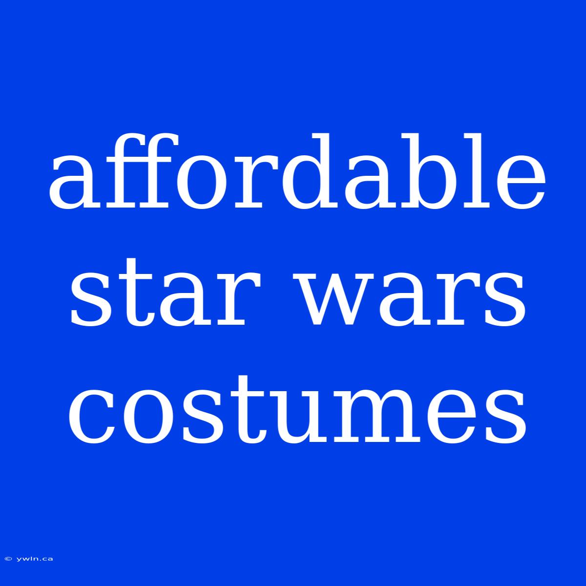 Affordable Star Wars Costumes