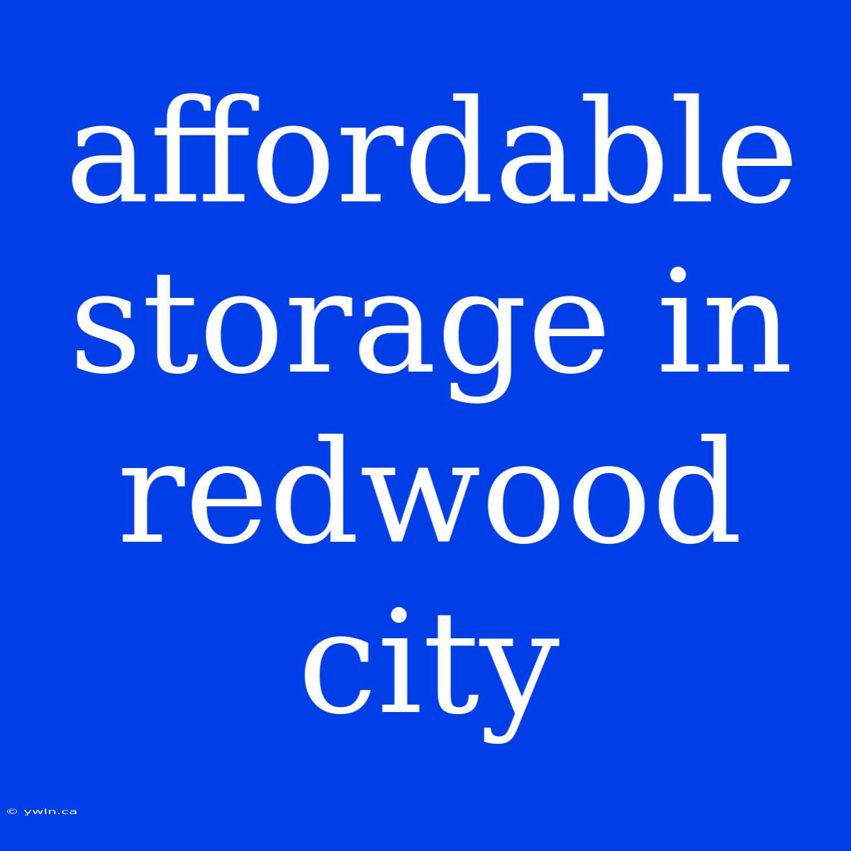 Affordable Storage In Redwood City