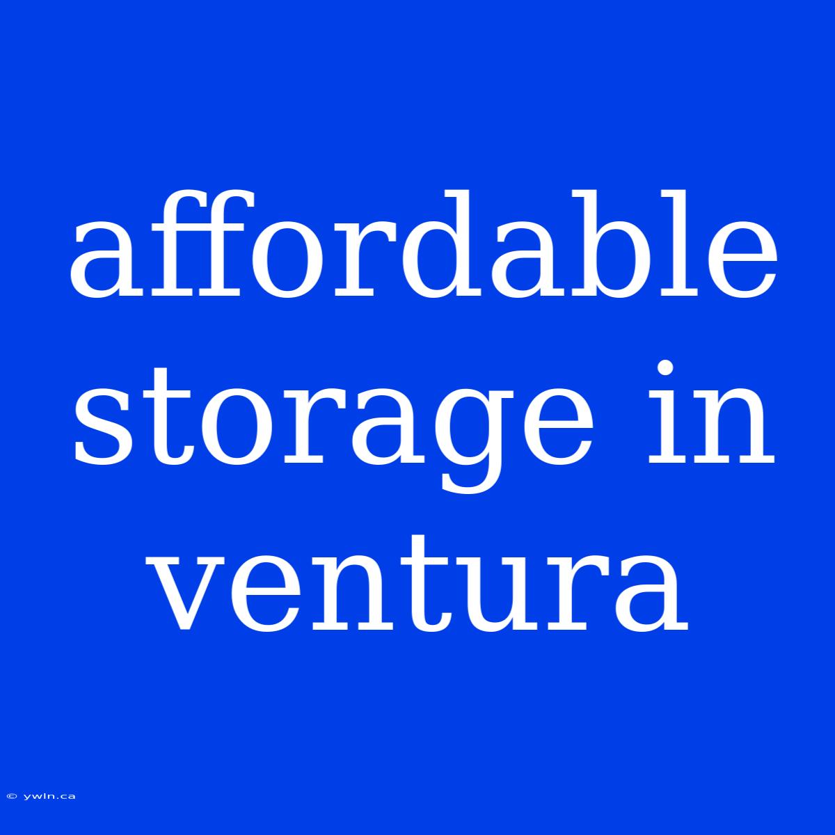 Affordable Storage In Ventura