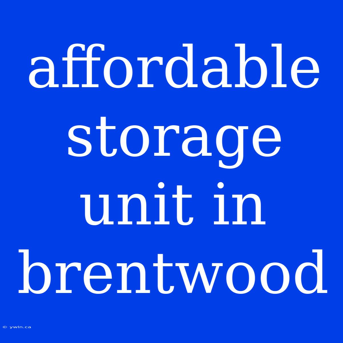 Affordable Storage Unit In Brentwood