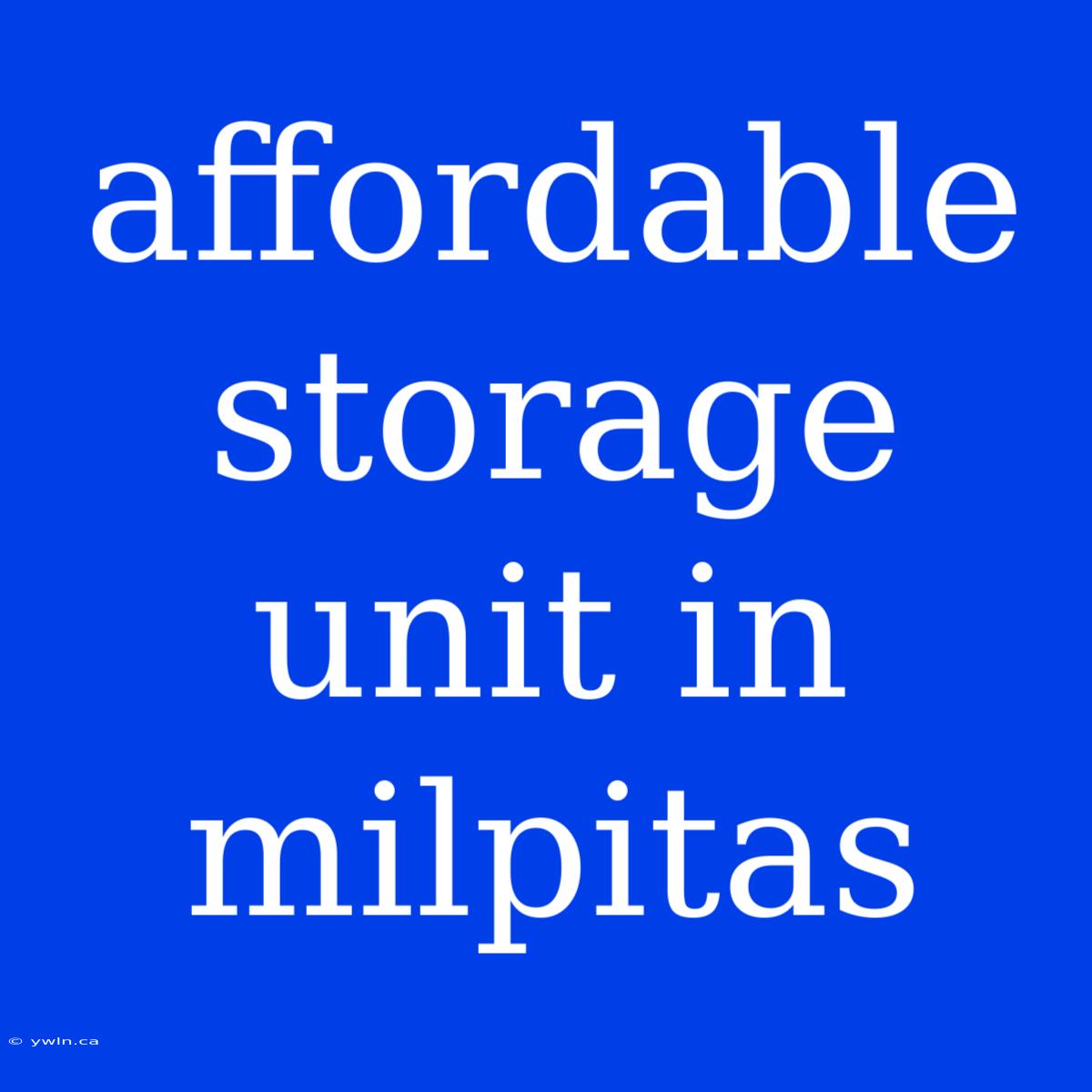 Affordable Storage Unit In Milpitas