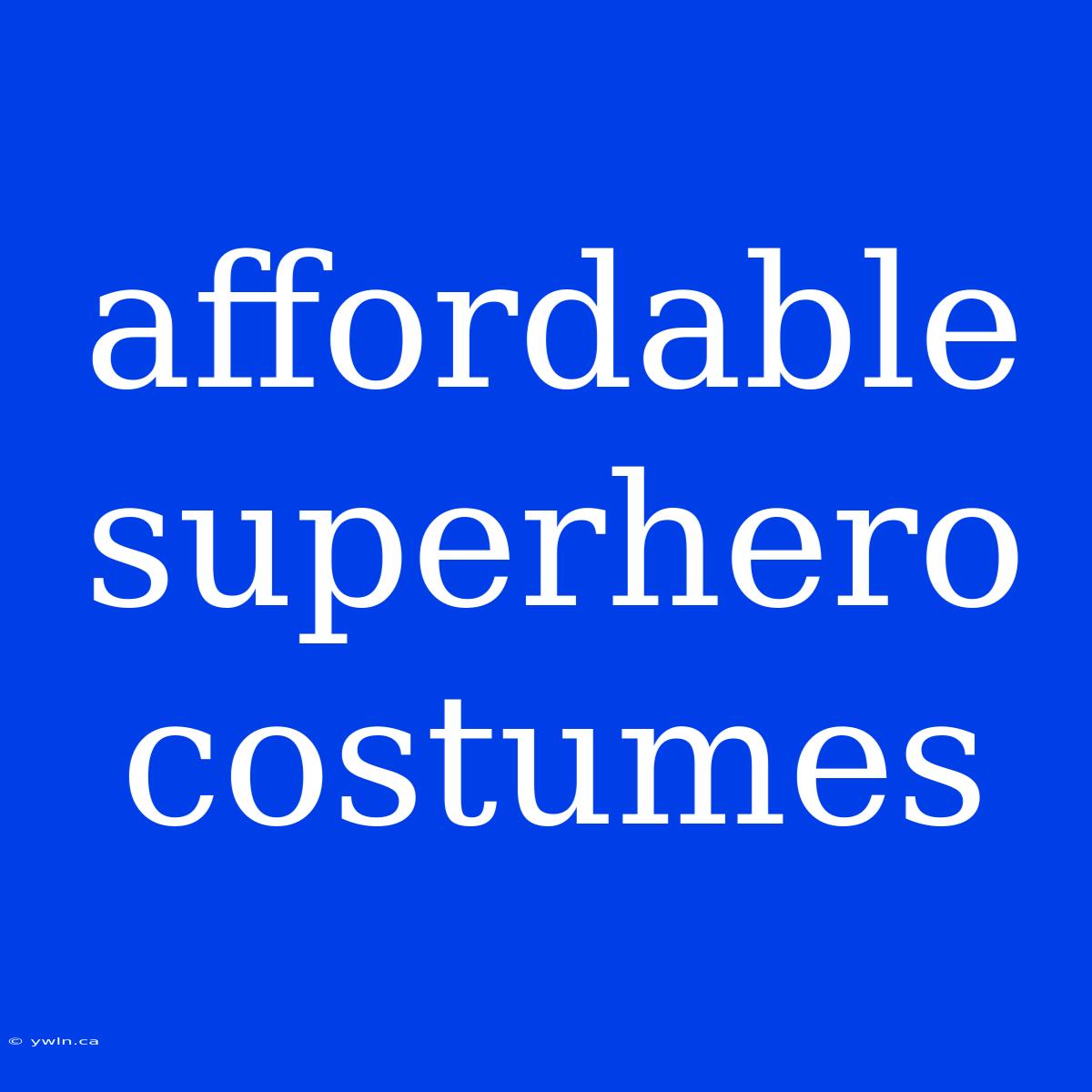 Affordable Superhero Costumes