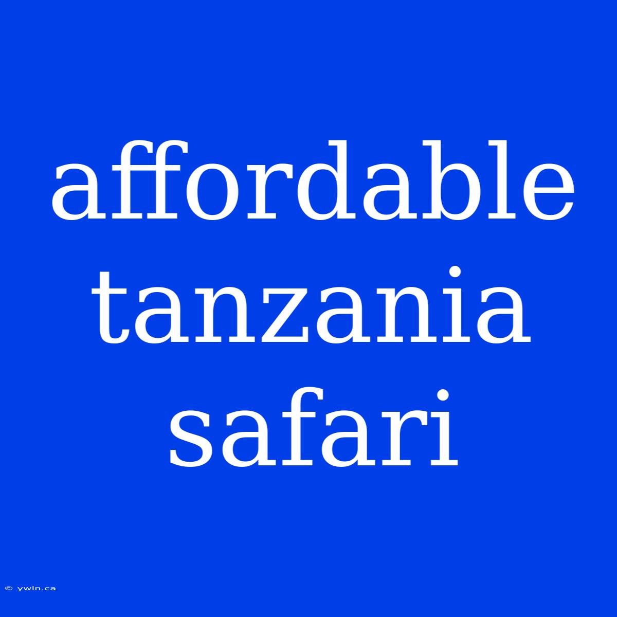 Affordable Tanzania Safari