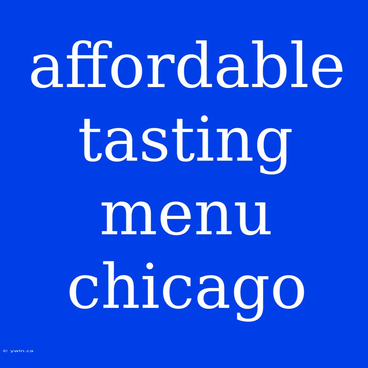 Affordable Tasting Menu Chicago