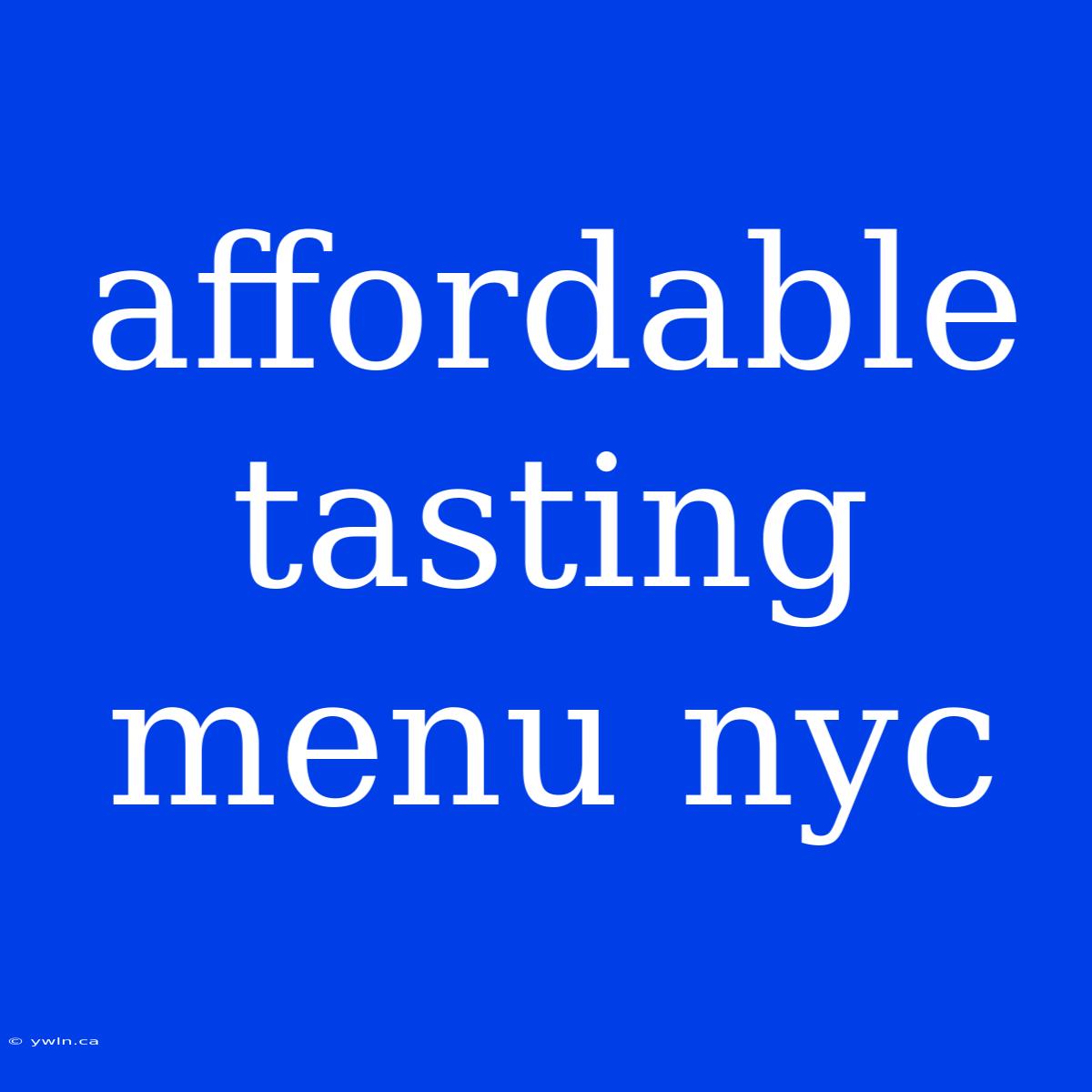 Affordable Tasting Menu Nyc