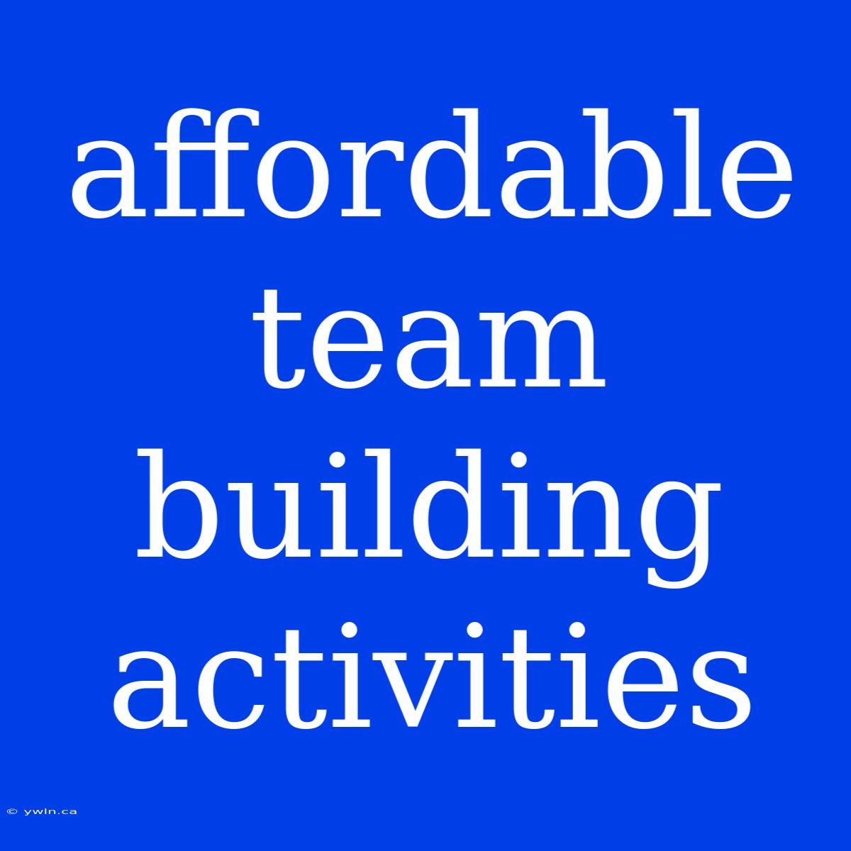 Affordable Team Building Activities