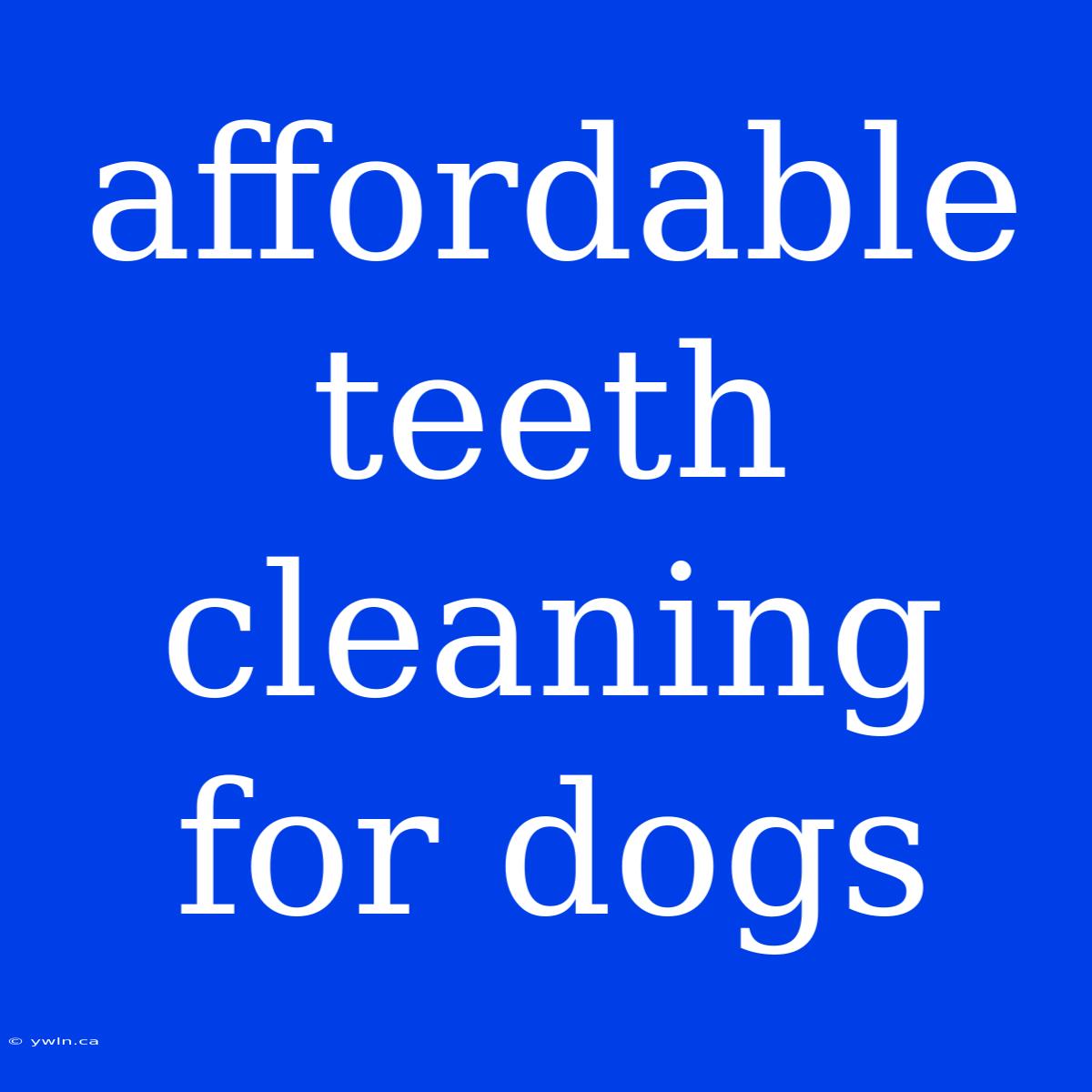 Affordable Teeth Cleaning For Dogs