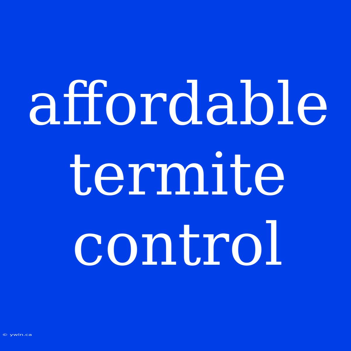 Affordable Termite Control