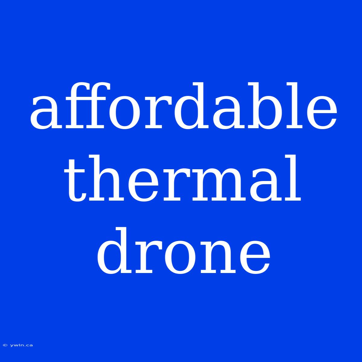 Affordable Thermal Drone