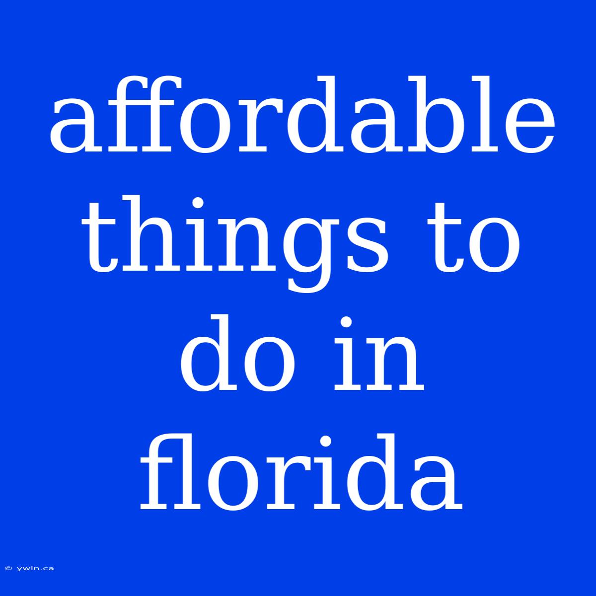 Affordable Things To Do In Florida