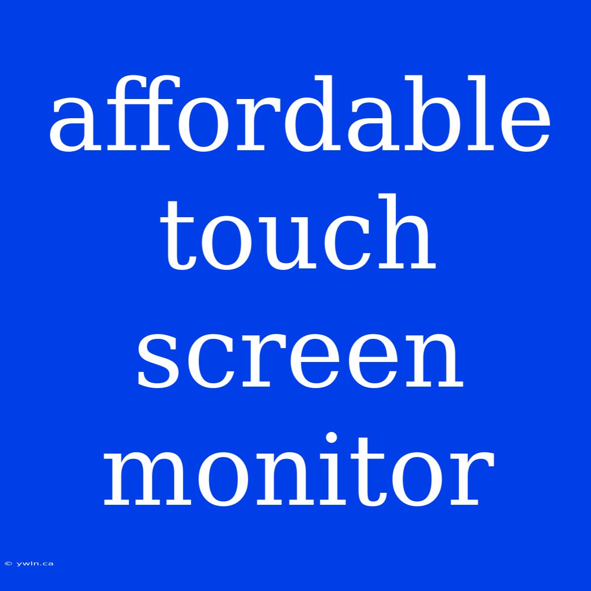 Affordable Touch Screen Monitor