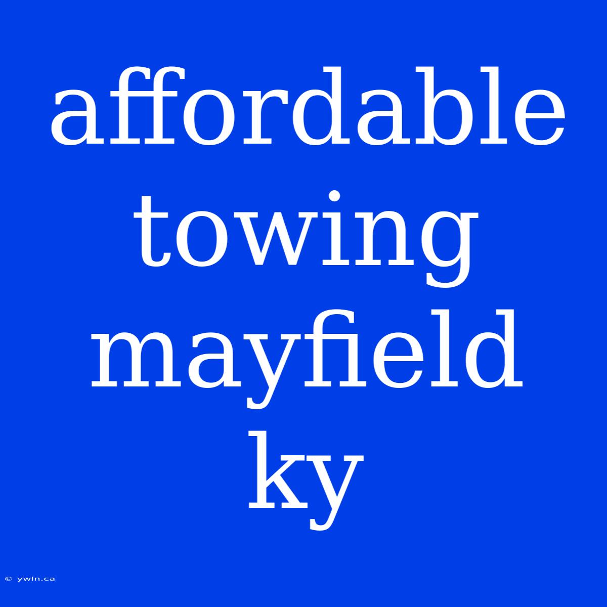 Affordable Towing Mayfield Ky