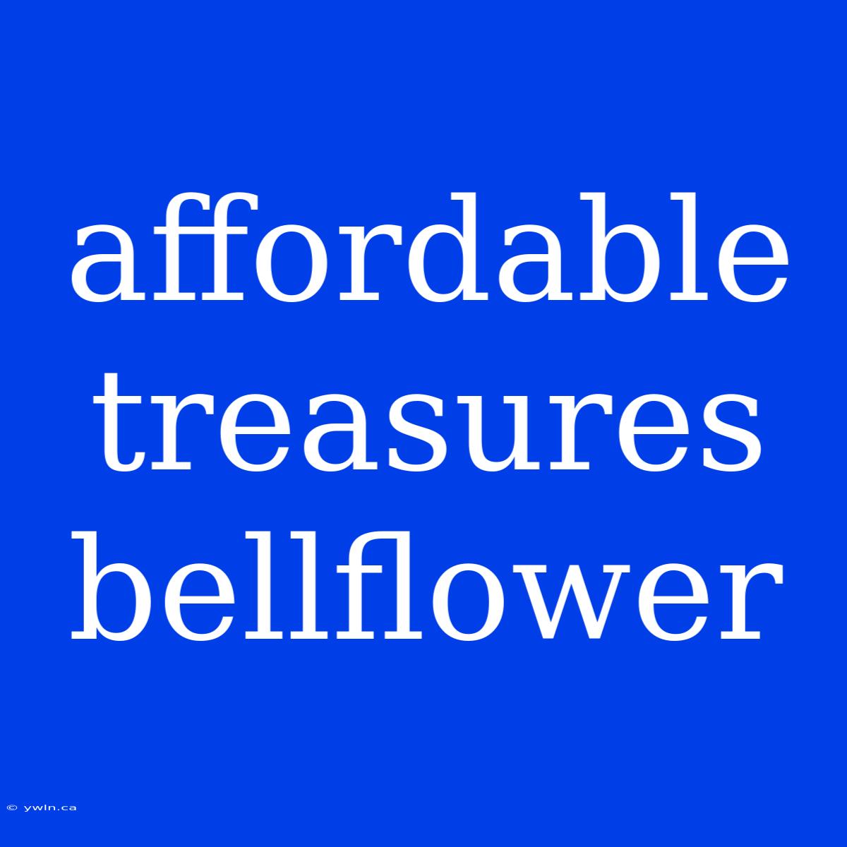 Affordable Treasures Bellflower