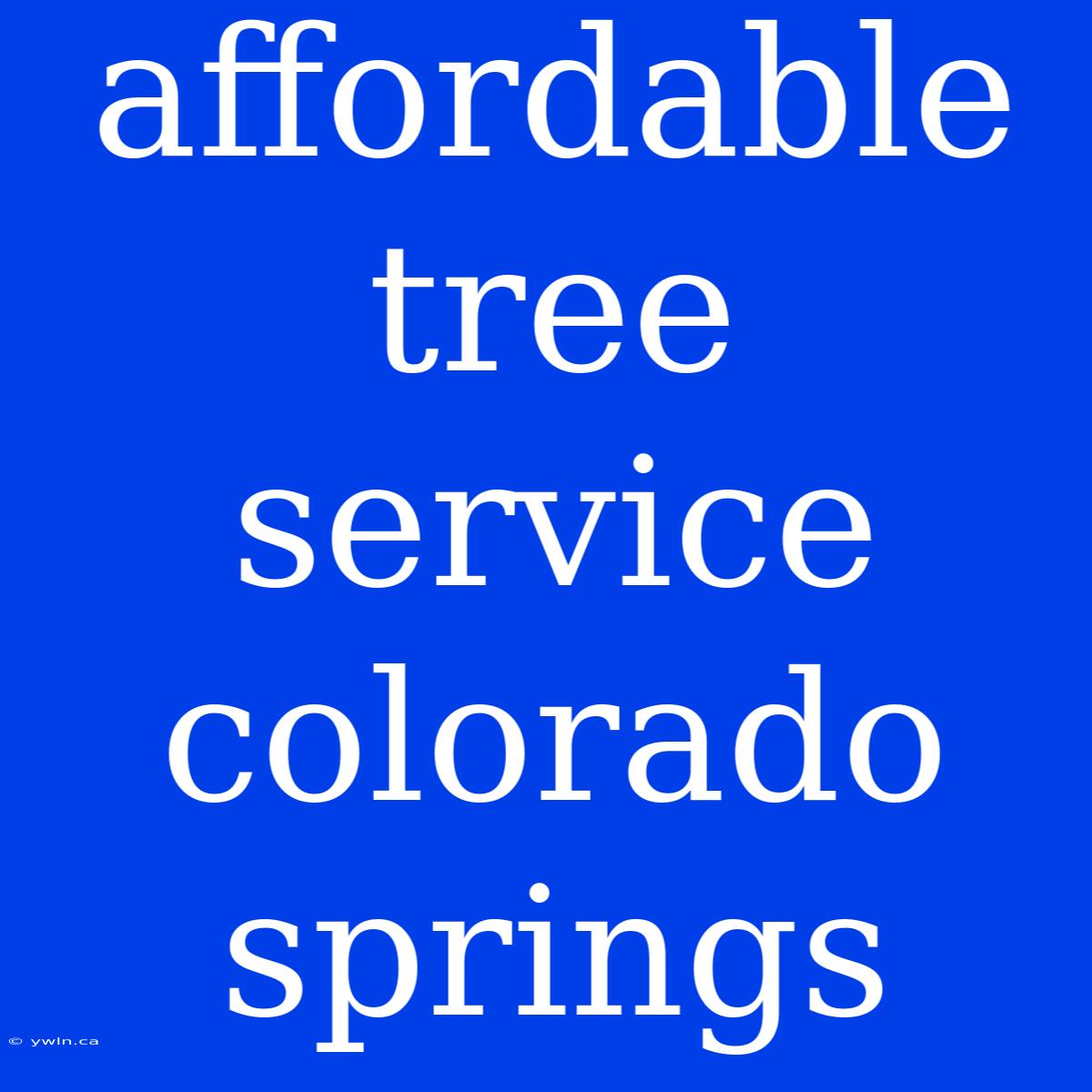 Affordable Tree Service Colorado Springs