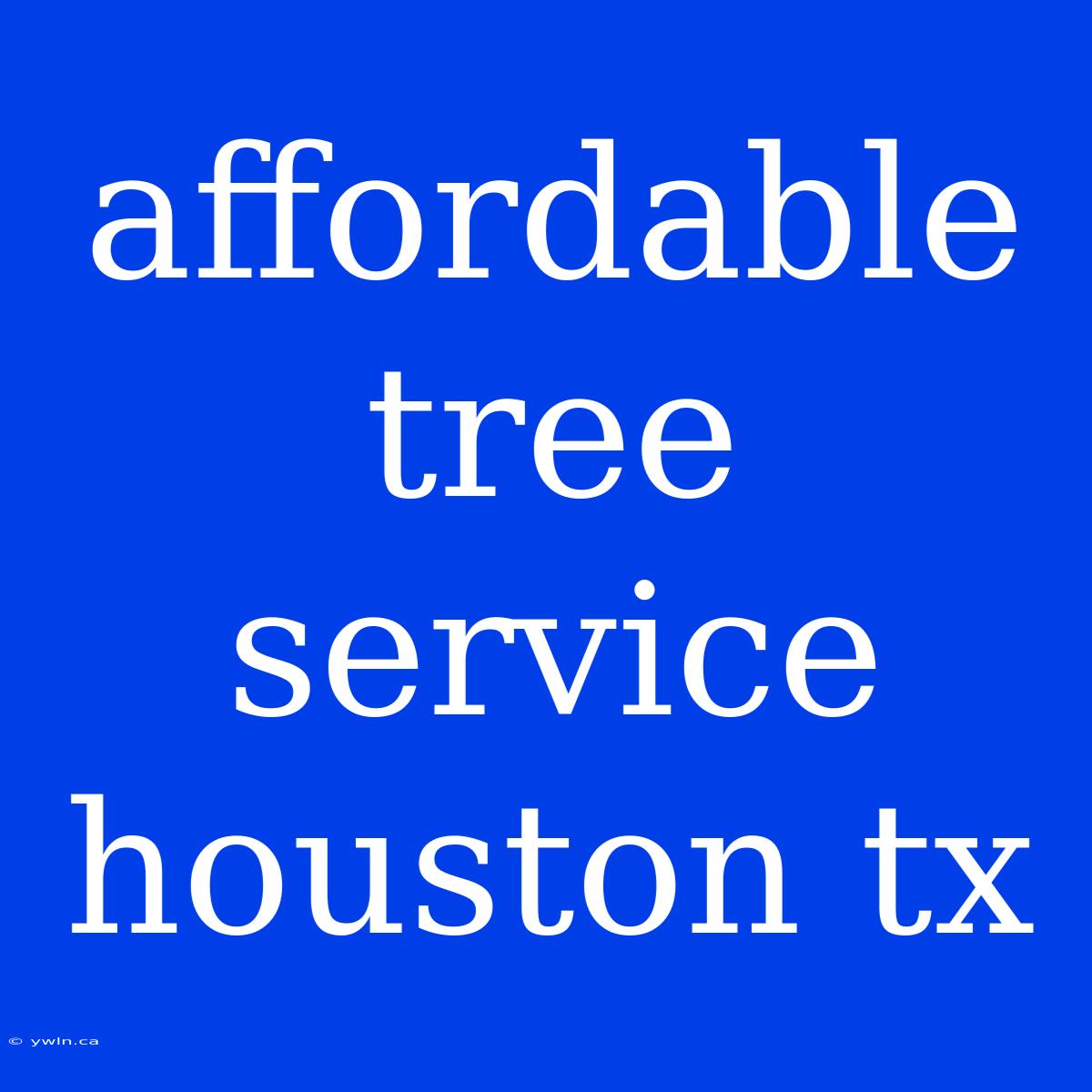 Affordable Tree Service Houston Tx