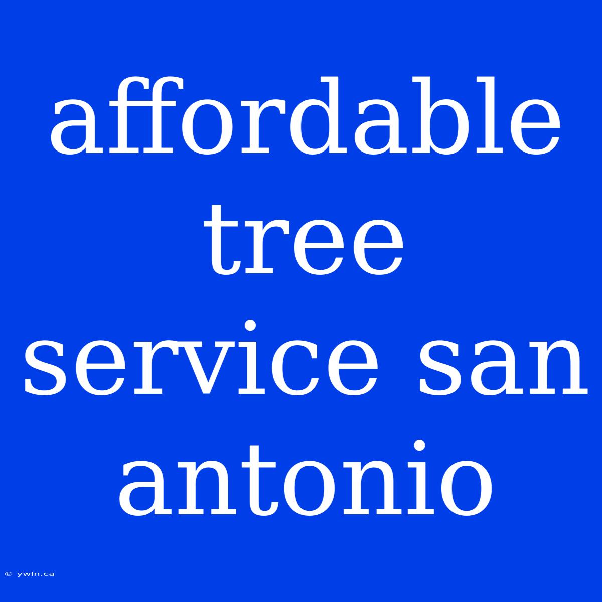 Affordable Tree Service San Antonio